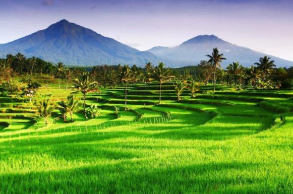 Banner Wisata Desa Duwet